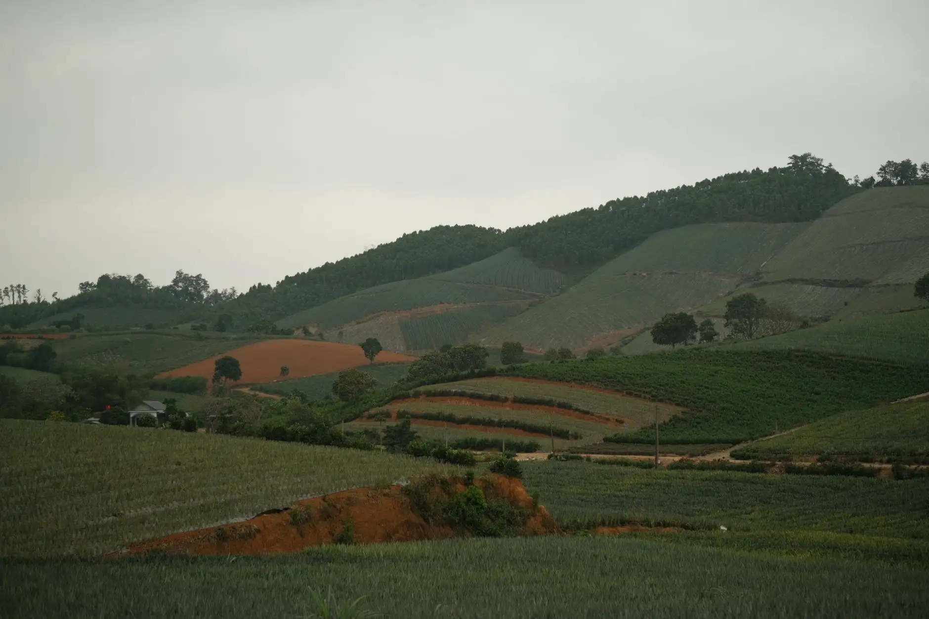 卫星通信设备选型指南:导航系统与航天器件参数对比
